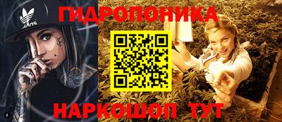 прущие грибы Тулун