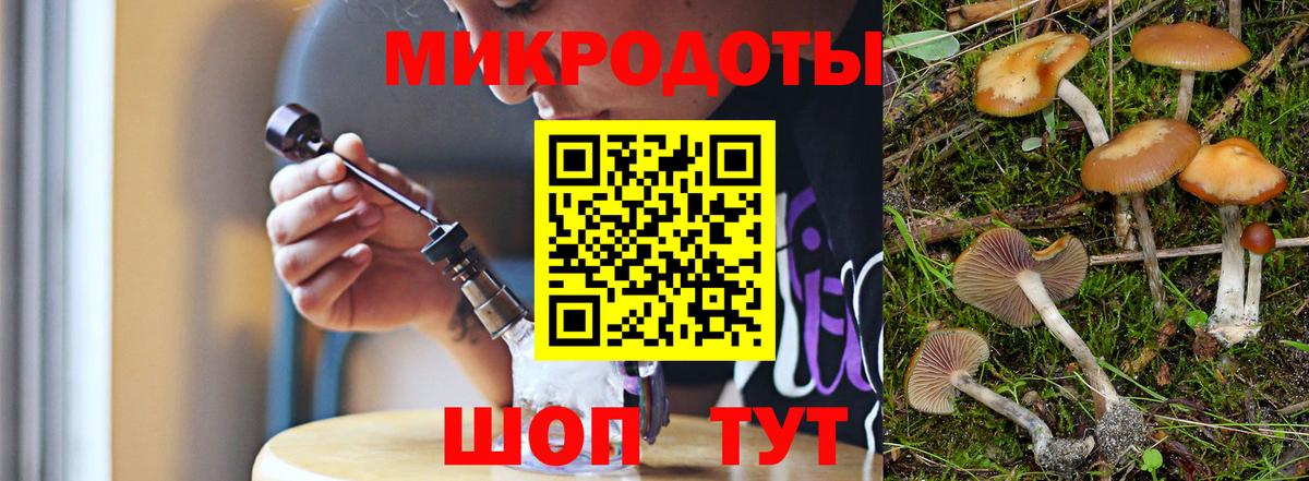 Наро-Фоминск  Псилоцибиновые грибы MAGIC MUSHROOMS  Вход с VPN 